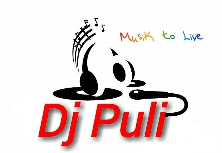 LOGO-DJ-PULI
